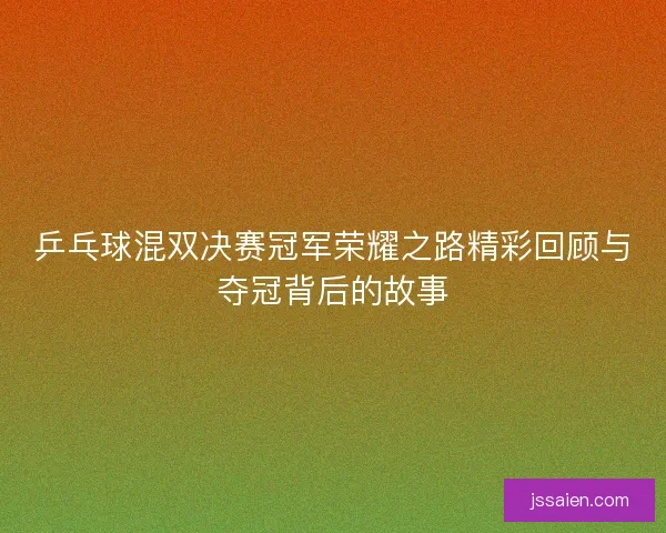 乒乓球混双决赛冠军荣耀之路精彩回顾与夺冠背后的故事